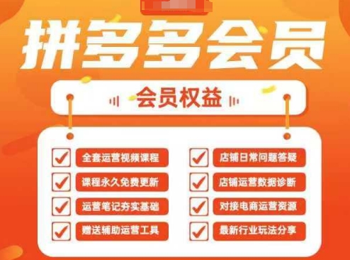 2025拼多多运营实战课,40节全流程教学,覆盖拼多多运营全链路-轻创终点站
